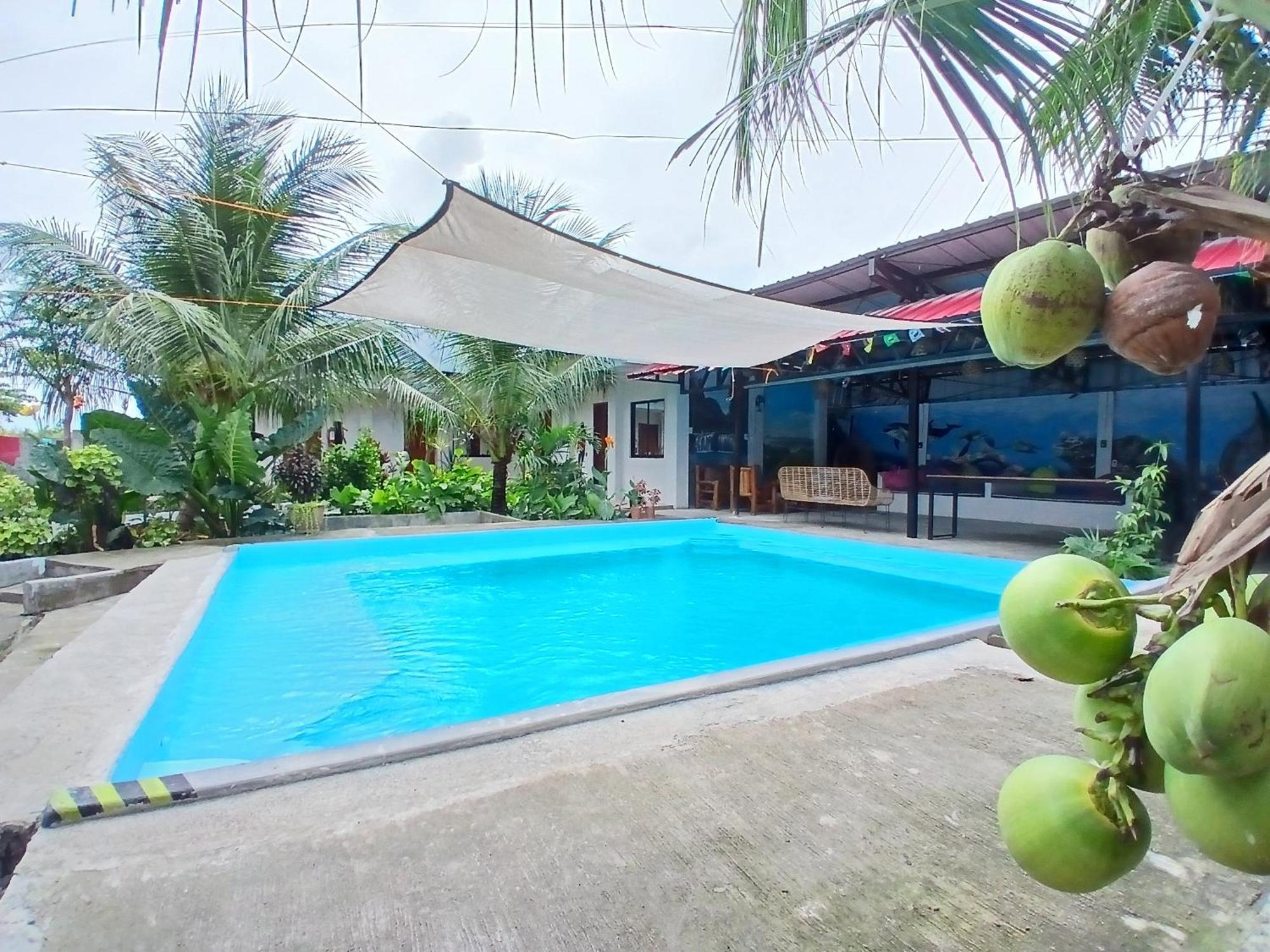 Ananas Guesthouse Moalboal Eksteriør billede