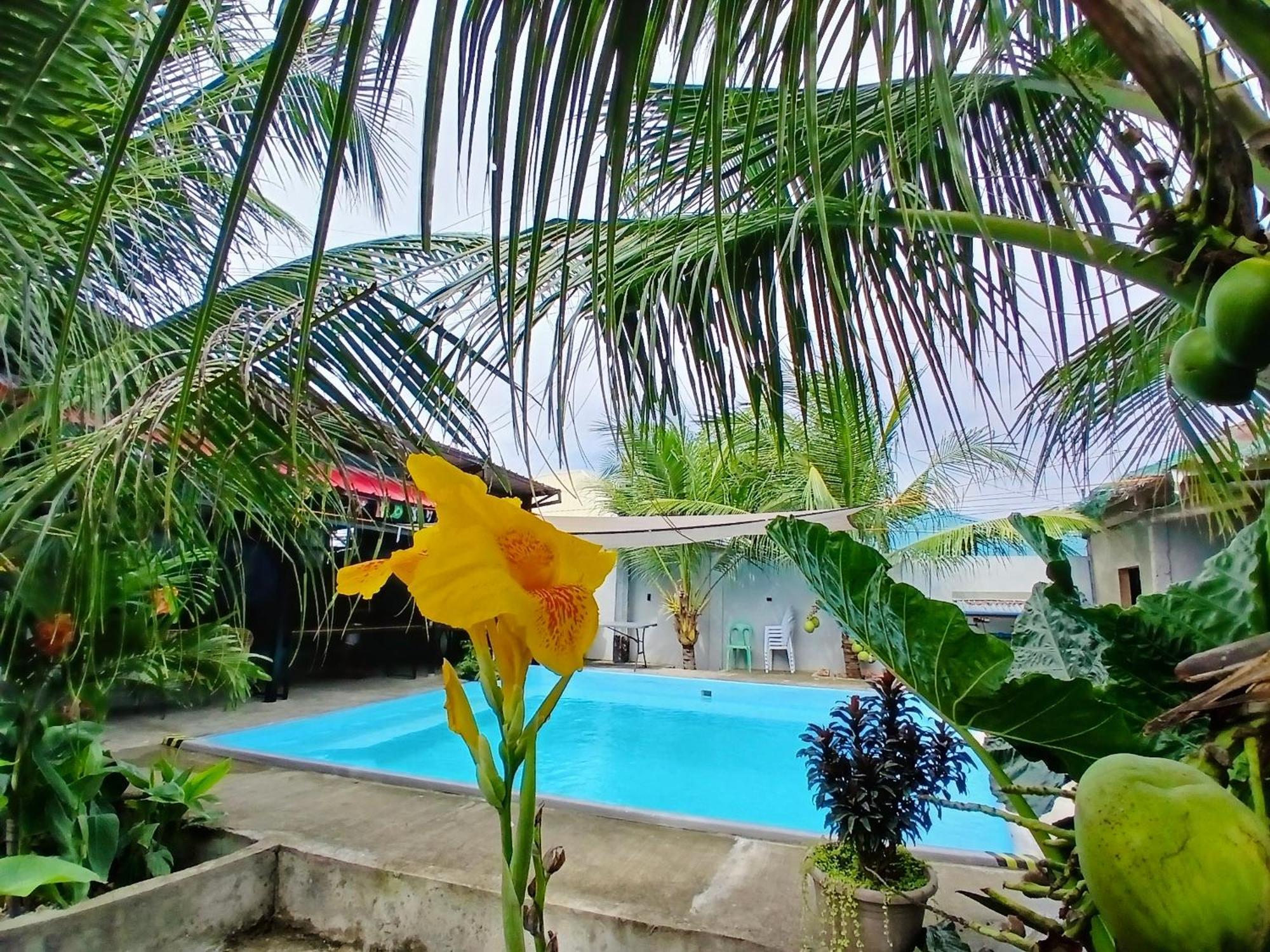 Ananas Guesthouse Moalboal Eksteriør billede